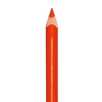 L'Oreal Color Riche Lipliner - 148 Chez Lui - Branded Beauty