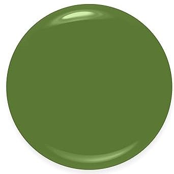 Rimmel 60 Seconds Super Shine Nail Polish - 880 Grassy Fields - Branded Beauty